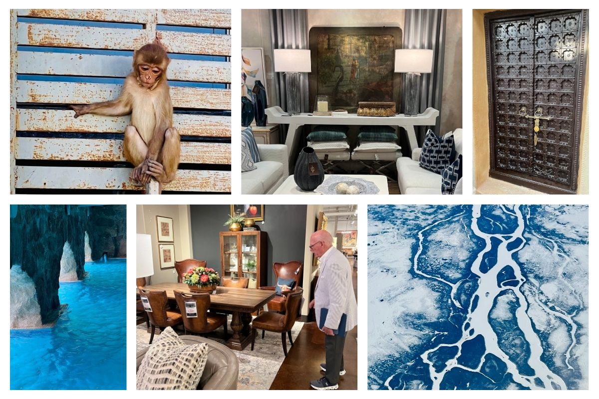 From Workshops to Showrooms